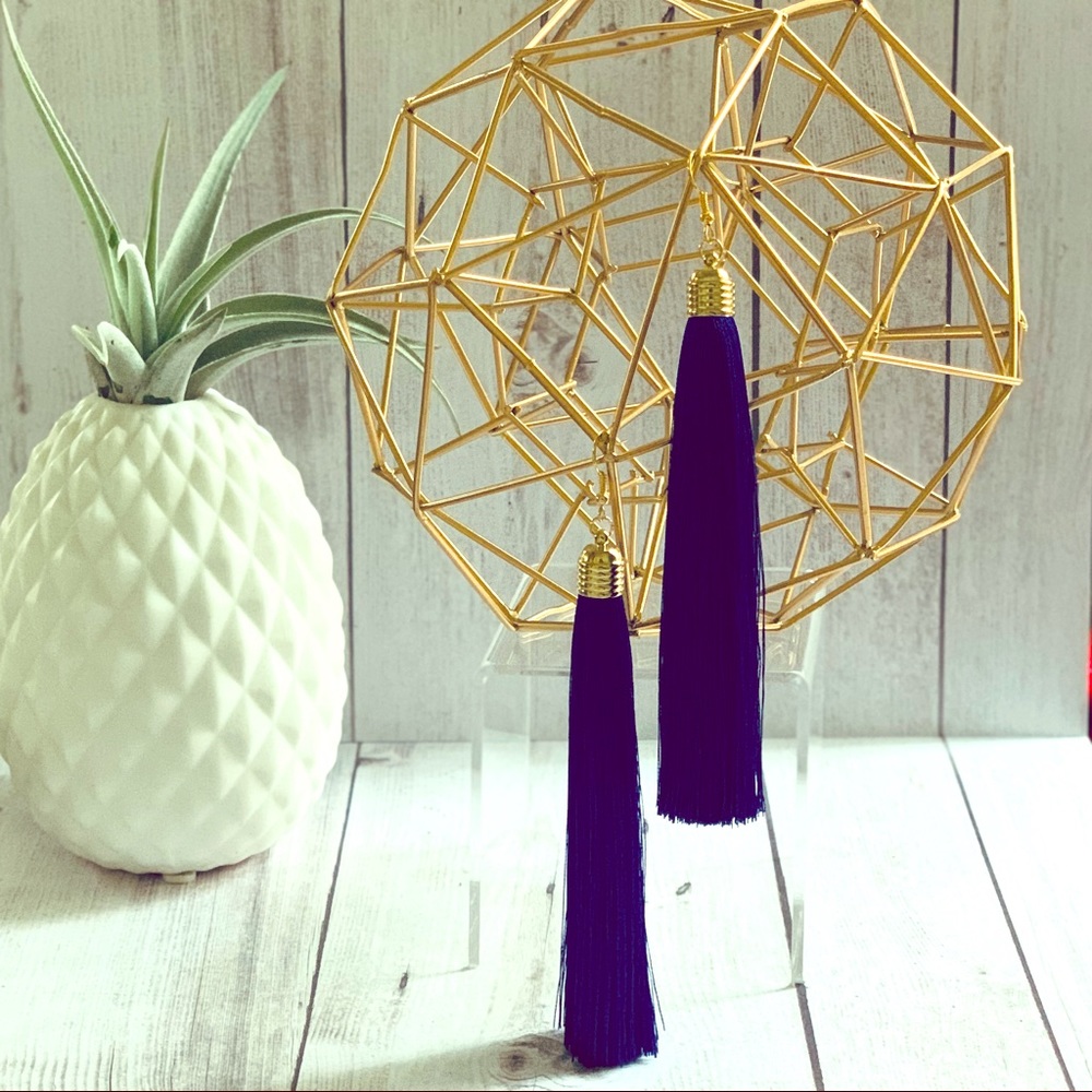 Blue Tassel Drop Earrings